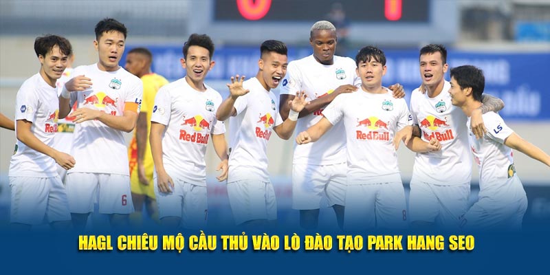 HAGL Chiêu Mộ Cầu Thủ Vào Lò Đào Tạo Park Hang Seo
